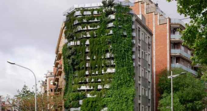 Barcelona instalará jardines verticales en medianeras