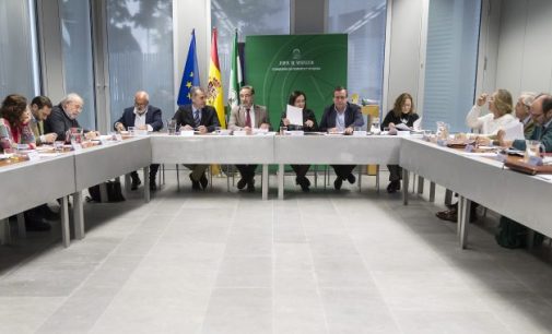 Reforma del reglamento de vivienda protegida de Andalucía